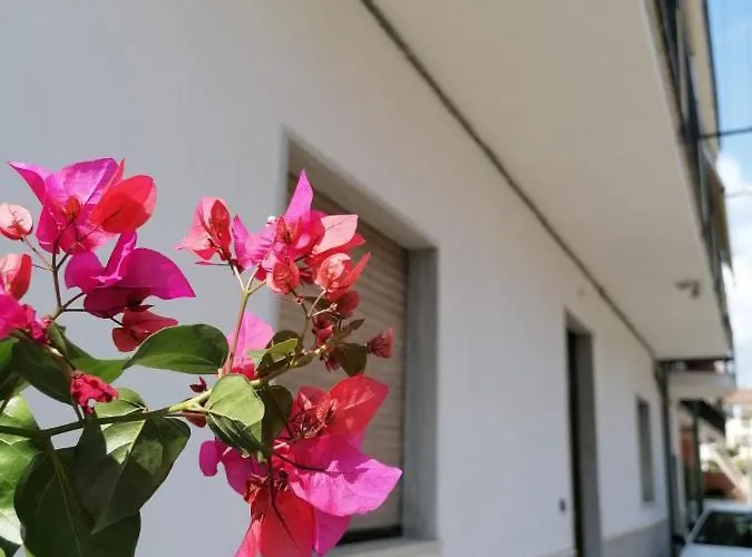 Bouganville Da Giò Alojamento de Acomodação e Pequeno-almoço 3*